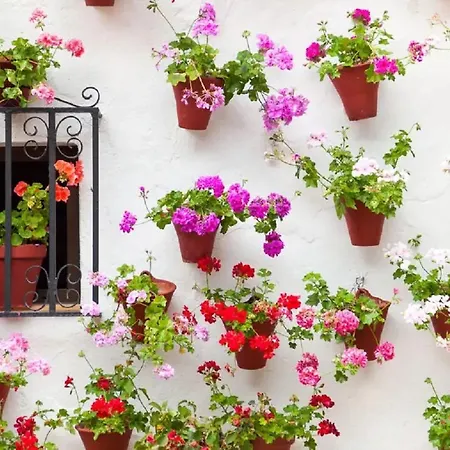 Apartment El Arcangel De Cordoba