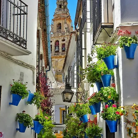 Apartament El Arcangel De Kordoba