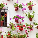 Appartement El Arcangel De Córdoba
